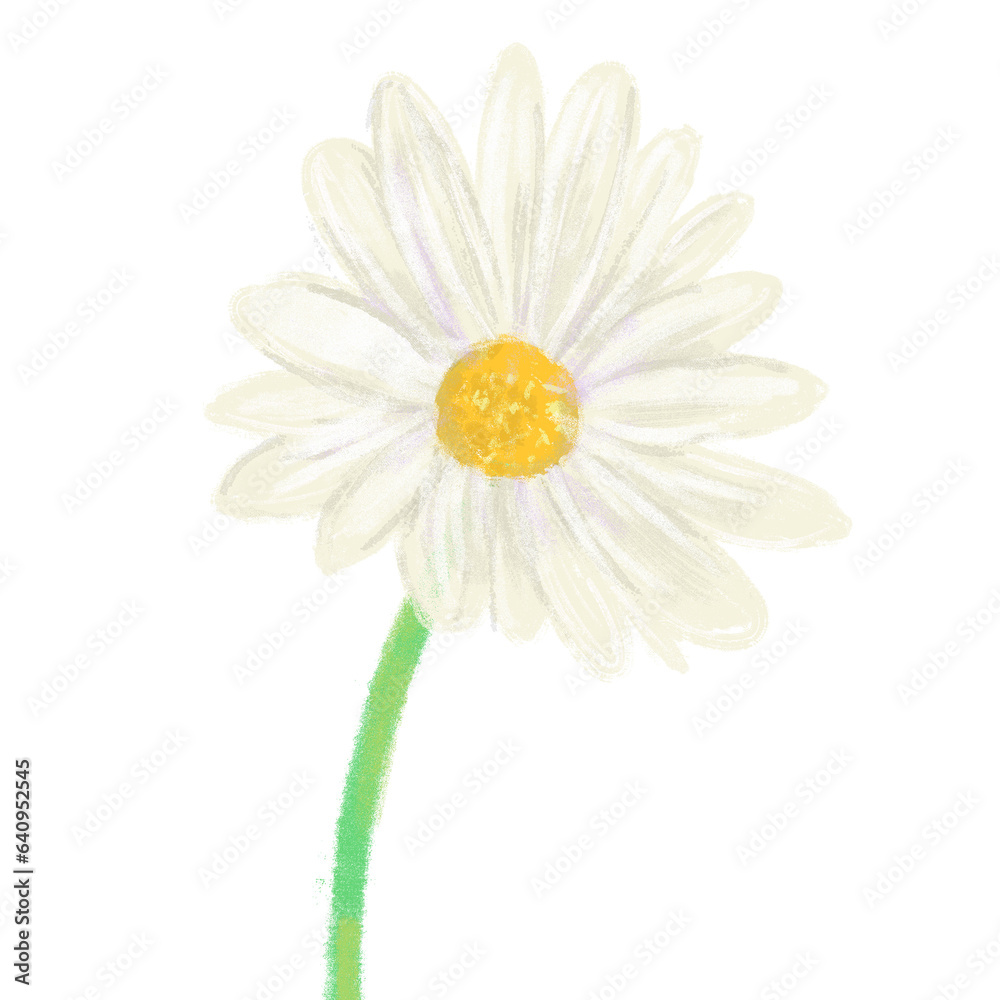 Fototapeta premium Digital illustration of daisy isolated