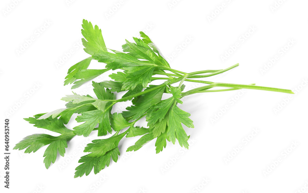 Sprigs of fresh green parsley leaves isolated on white Sprigs of fresh green parsley leaves isolated on white