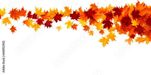 Vibrant maple autumn leaves on white background with place for text