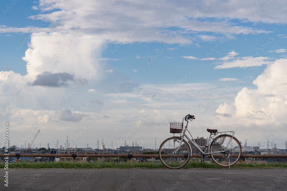 Obraz premium bicycle on the road