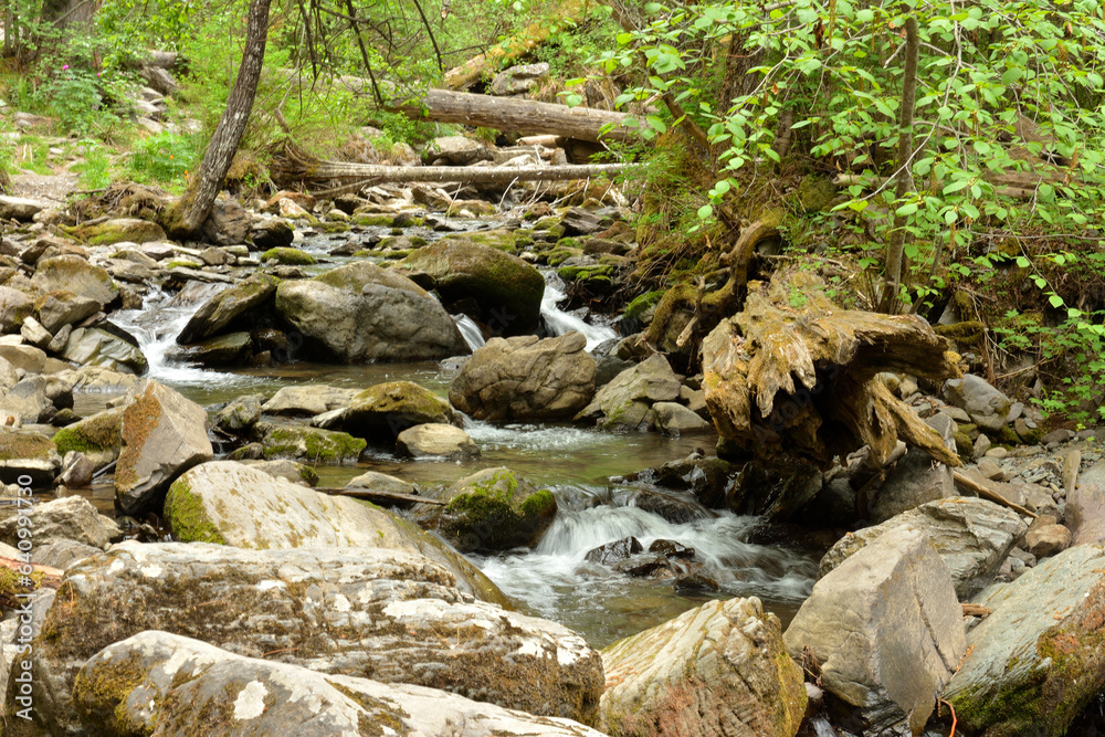 The rapid flow of the stream, bending around stones and fallen trees, flows down from the mountains through the summer forest. The rapid flow of the stream, bending around stones and fallen trees, flows down from the mountains through the summer forest.