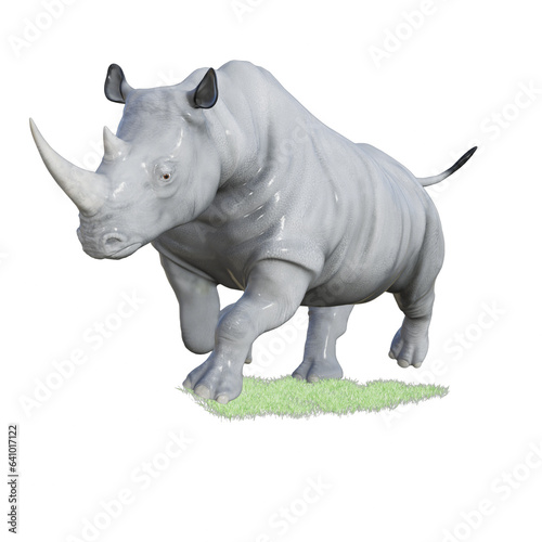 rhino isolated on white