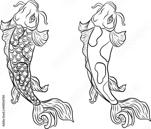 koi carp vector isolate for tattoo.Japanese carp drawing.Hand drawn line art of fish (Koi carp). Vector isolated. Idea for tattoo and coloring books.