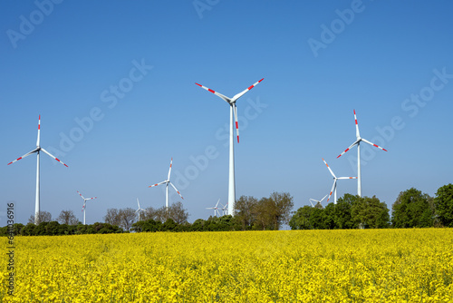 Wind turbines and a field of flowering rapeseed seen in Germany photo