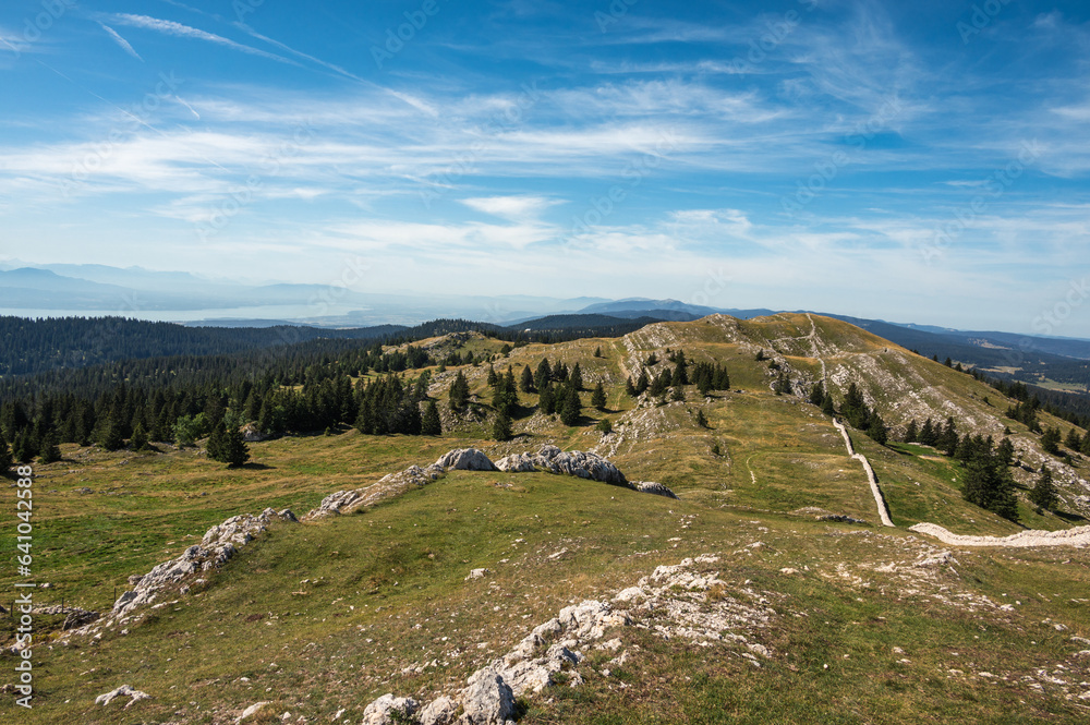 pâturage au mont Tendre, Jura Vaudois