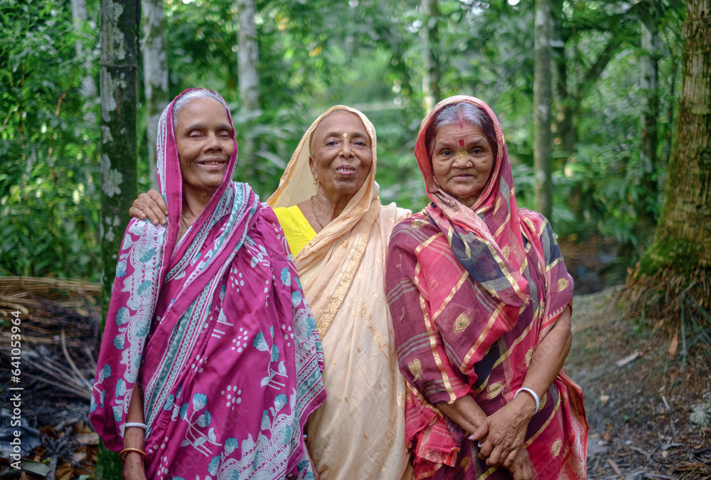 Portrait of south asian elderly women,  Hindu old friends are in traditional colourful clothes 