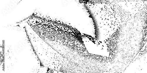 Grunge texture black and white background. Abstract monochrome pattern dust messy background. vintage dust grunge texture on isolated white background.
