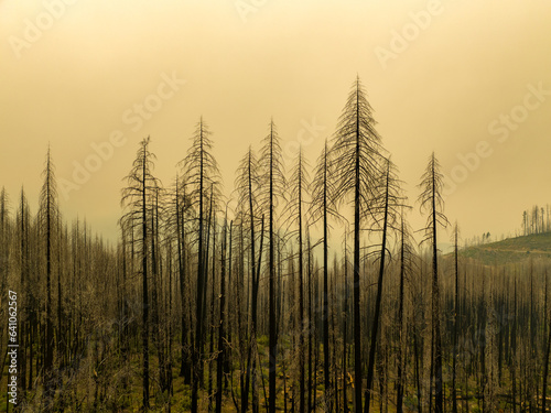 California Wildfire Smoke