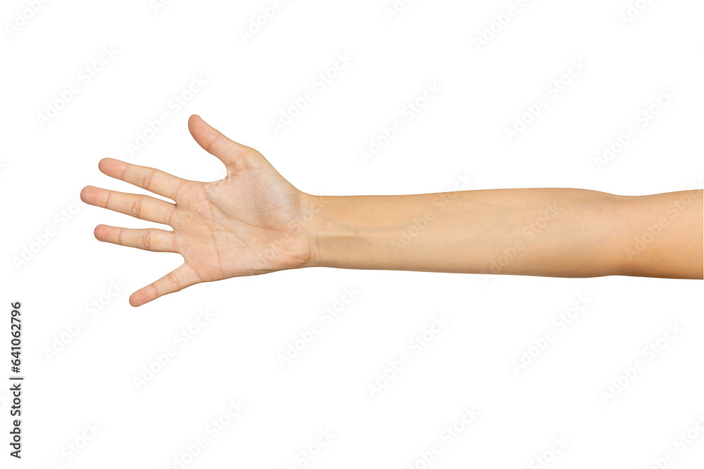 girl hand and arm reaching for something girl hand and arm reaching for something