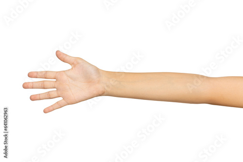 Woman hand (palm) isolated on white background