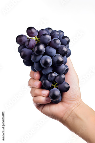 Hand holding dark blue grapes isolated on white background