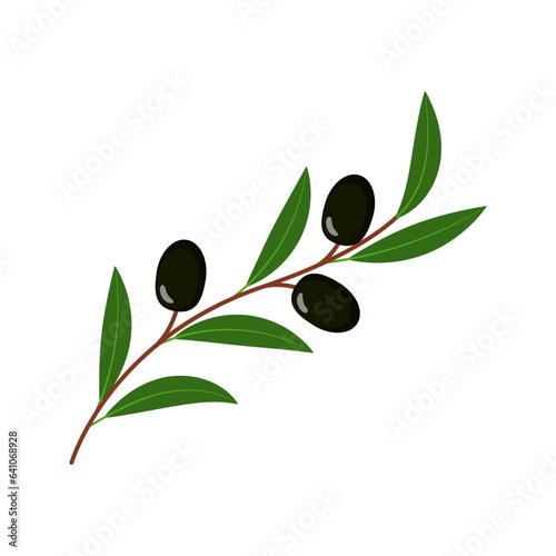 Ripe olives on a branch flat vector illustration