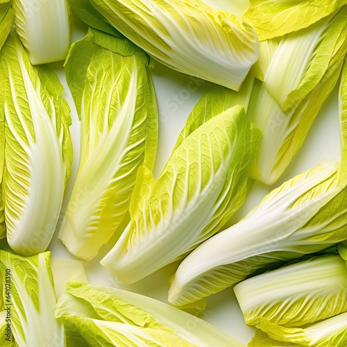 Endive as seamless tiles