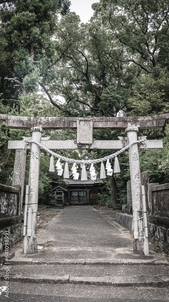 Torii gate and the path leading to the shrine in Japan Torii gate and the path leading to the shrine in Japan