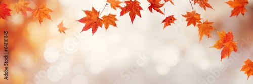 Yellow and orange fallen maple leaves on abstract background. Autumn natural backdrop. Fall season. Banner