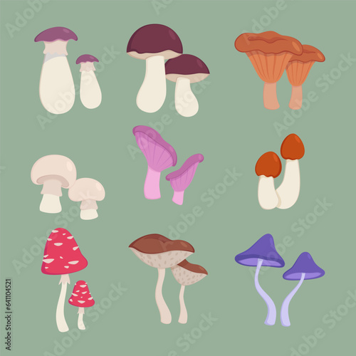 Mushrooms as autumn or forest elements vector illustrations set. Collection of cartoon drawings of edible and poisonous fungi on green background. Plants, nature, seasons, diet concept