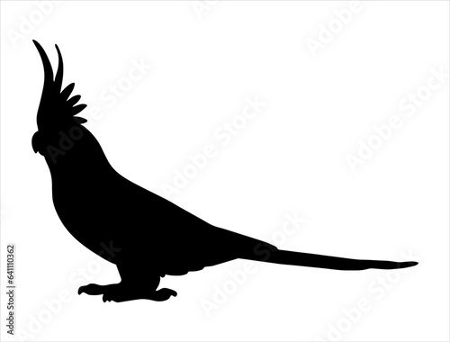 Cockatiel silhouette vector art
