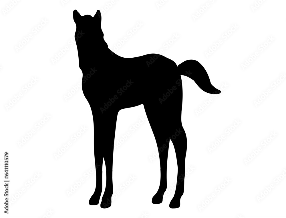 Foal silhouette vector art