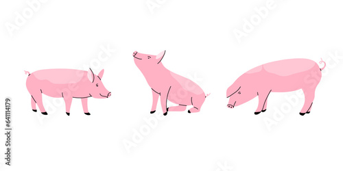 Farm animal. Pigs in different poses. Hand drawn funny contemporary drawing livestock, pork meat symbol, standing and sitting mammal, cartoon flat isolated vector pig illustration