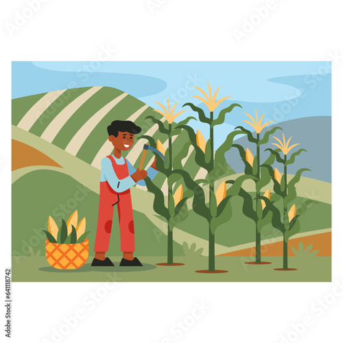 American young man in uniform holding sickle and cutting corn on plantation. Growing and harvesting concept. Corn cultivation. Flat vector illustration in cartoon style