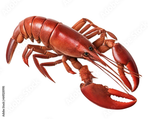 Lobster isolated on transparent background