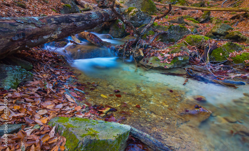 beautiful emerald river flow through mountain canyon covered by red dry leaves, autumn mountain river scene