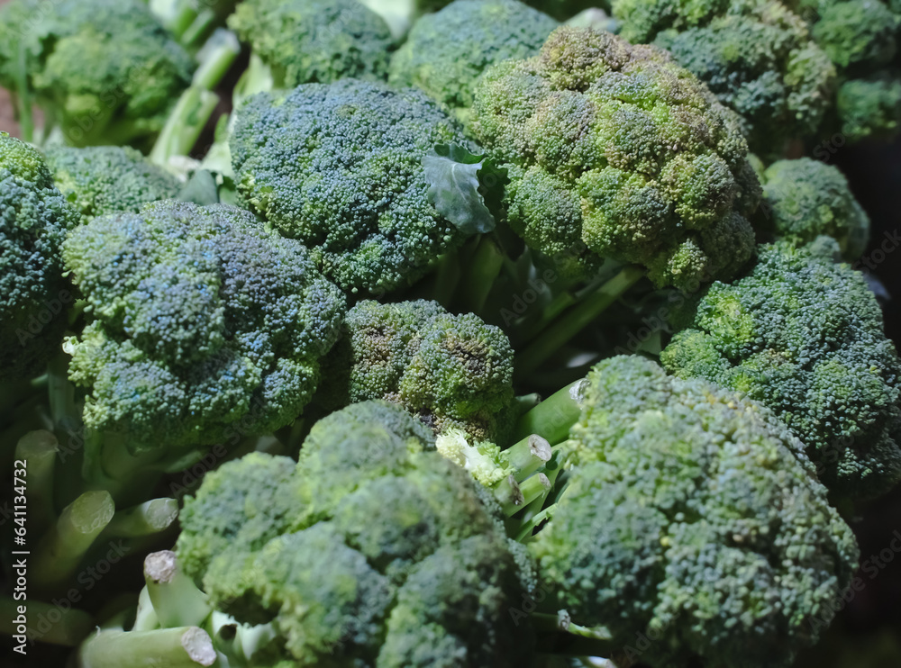 Fresh Broccoli 01 Fresh Broccoli 01