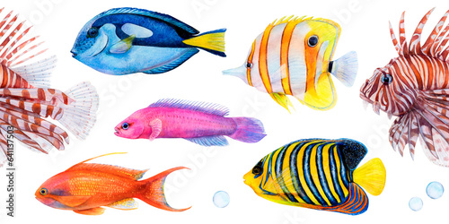 Watercolor drawing seamless border of colorful fish: royal angel, lionfish, antias, butterfly fish, surgeonfish and friedman fish on white background. Underwater picture for illustration, stickers