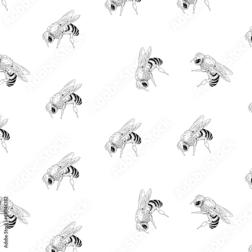 Vector pattern with graphic realistic bee on white background.  Great element for your design. © Елена Мотрич
