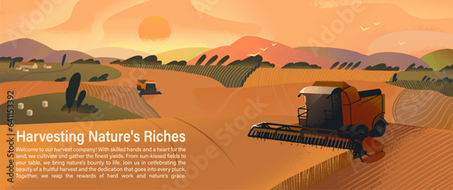 Harvester machinery works in the field. Harvesting season on farm, combine gather grain, harvest wheat, cut corn. Agriculture production, farming landscape. Farmland nature flat vector illustration