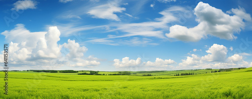 beautiful scenic landscape with green field and blue sky floating above it with cumulus clouds, legal AI