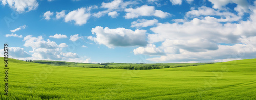 Sunny day. Beautiful panorama of green field and blue sky with clouds  legal AI