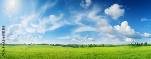 Scenic panorama of green field and blue sky with clouds on the horizon, legal AI © PETR BABKIN