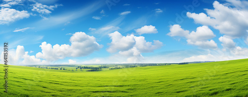 landscape with a field on a blue sky with clouds. beautiful panorama, legal AI