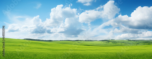 field and blue sky with clouds, legal AI