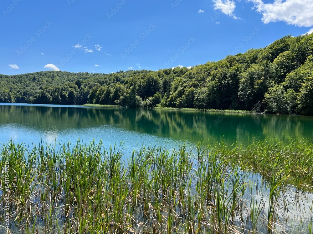 Landscape and environment of Plitvice Lakes National Park (UNESCO) - Plitvica, Croatia or Slikoviti krajobrazi i prekrasni motivi iz nacionalnog parka Plitvička jezera - Plitvice, Hrvatska