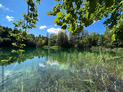 Landscape and environment of Plitvice Lakes National Park (UNESCO) - Plitvica, Croatia or Slikoviti krajobrazi i prekrasni motivi iz nacionalnog parka Plitvička jezera - Plitvice, Hrvatska photo