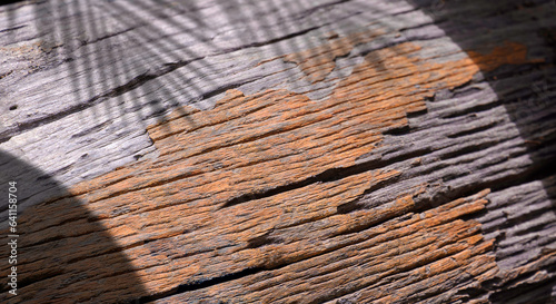 Light and shadow on the weathered old log with brown bark texture looks like a map of Russia on surface.