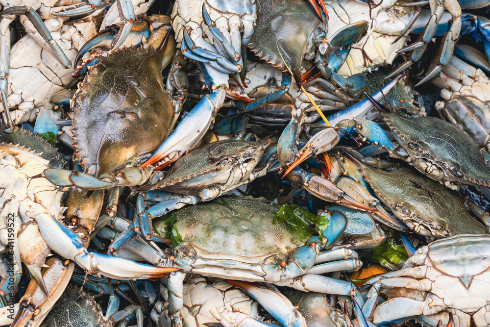 Blue crabs for sale at the fish market. Callinectes sapidus or Atlantic ...