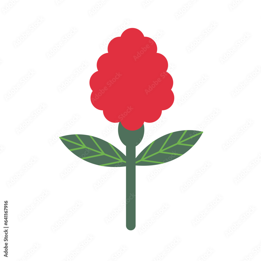Globe amaranth flower flat illustration Globe amaranth flower flat illustration