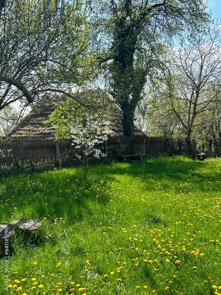 Obraz premium spring in the park