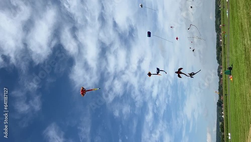 Germany Melle 26.08.23 drachenfest Melle. Sparkasse Kite Festival Lünen all day flying different kites to music and moderation. EDITORIAL. vertical video photo