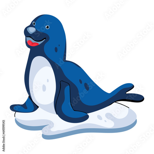Seal Animal