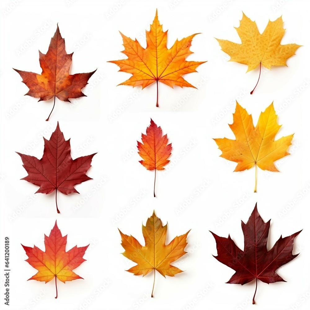 Set of realistic maple leaves. Created with Generative AI technology
Set of realistic maple leaves. Created with Generative AI technology