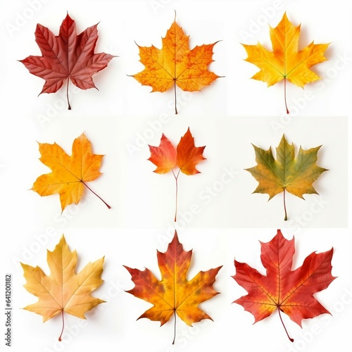 Set of realistic maple leaves. Created with Generative AI technology 