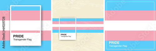 Transgender Pride Flags art concepts. Color Palette Concept. For LGBTQ Pride month and inclusivity. For Design elements, posters, cards, social media, banner, web. Vector Illustration. Trans pride.
