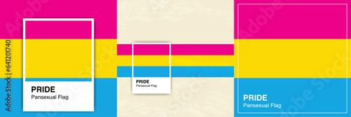 Collection of Pansexual Pride Flags art posters. Color Palette Concept. For LGBTQ Pride month and inclusivity. For Design elements, posters, cards, social media, banner, web. Vector Illustration. EPS
