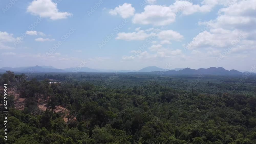 Aerial view of vast oil palm plantations in Indonesia Aerial view of vast oil palm plantations in Indonesia