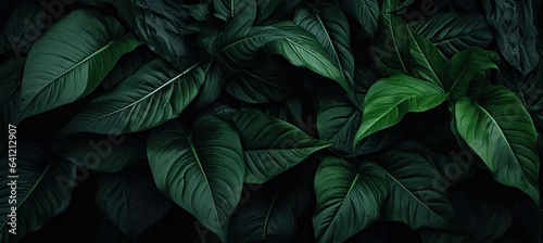 a close up of a bunch of leaves, in the style of dark paradise, photorealistic compositions