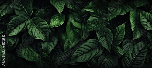 a close up of a bunch of leaves  in the style of dark paradise  photorealistic compositions